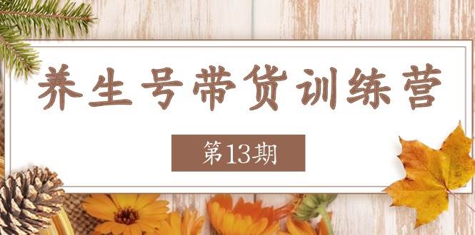 （11275期）养生号-带货训练营【第13期】收益更稳定的玩法，让你带货收益爆炸-问小徐资源库