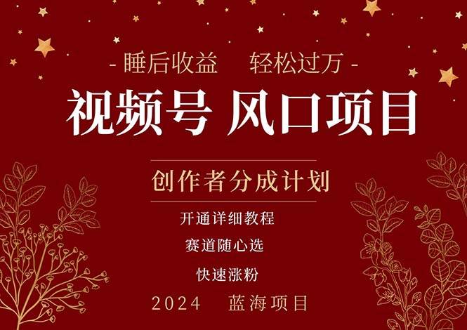 （11331期）拥有睡眠收益的微信视频号大风口项目，轻松月入过万+，多赛道选择，可…-问小徐资源库