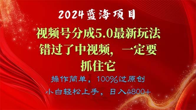 （11032期）2024蓝海项目，视频号分成计划5.0最新玩法，错过了中视频，一定要抓住…-问小徐资源库