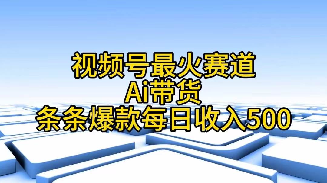 （11038期）视频号最火赛道——Ai带货条条爆款每日收入500-问小徐资源库