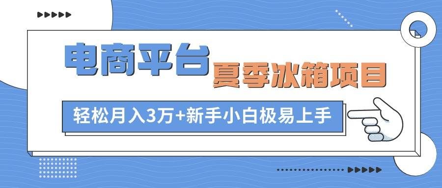 （10934期）电商平台夏季冰箱项目，轻松月入3万+，新手小白极易上手-问小徐资源库
