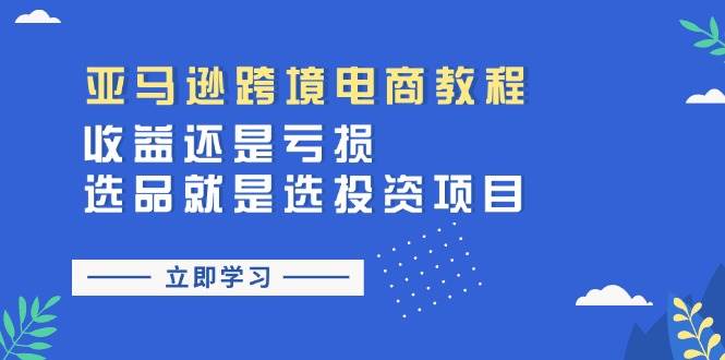 （11432期）亚马逊跨境电商教程：收益还是亏损！选品就是选投资项目-问小徐资源库