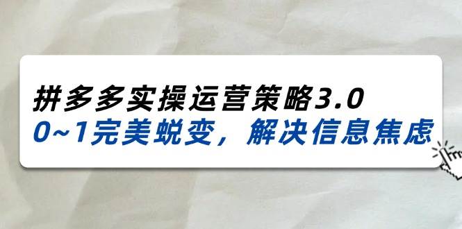 （11658期）2024_2025拼多多实操运营策略3.0，0~1完美蜕变，解决信息焦虑（38节）-问小徐资源库