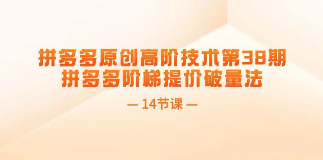 （11704期）拼多多原创高阶技术第38期，拼多多阶梯提价破量法（14节课）-问小徐资源库