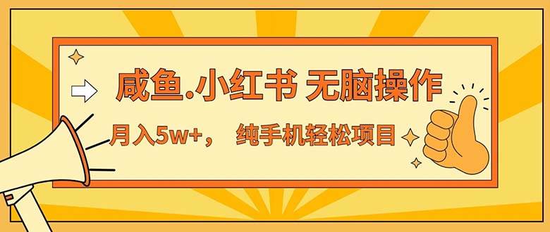 （11524期）2024最赚钱的项目，咸鱼，小红书无脑操作，每单利润500+，轻松月入5万+…-问小徐资源库