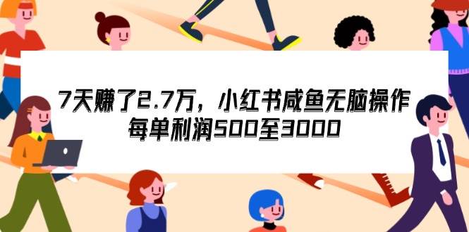 （12192期）7天收了2.7万，小红书咸鱼无脑操作，每单利润500至3000-问小徐资源库