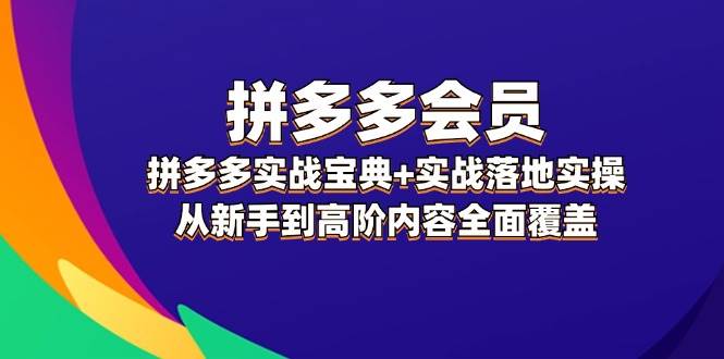 （12056期）拼多多 会员，拼多多实战宝典+实战落地实操，从新手到高阶内容全面覆盖-问小徐资源库