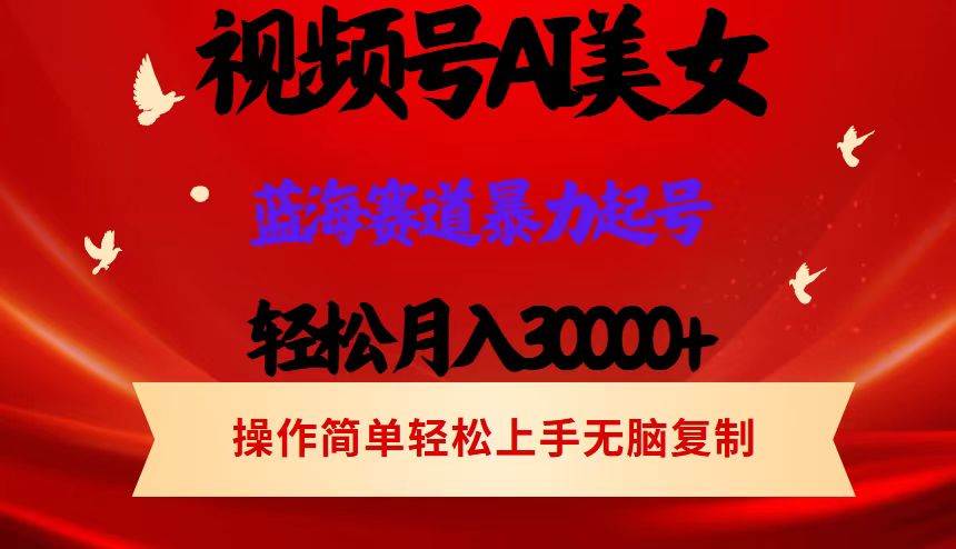 （12178期）视频号AI美女跳舞，轻松月入30000+，蓝海赛道，流量池巨大，起号猛，当…-问小徐资源库
