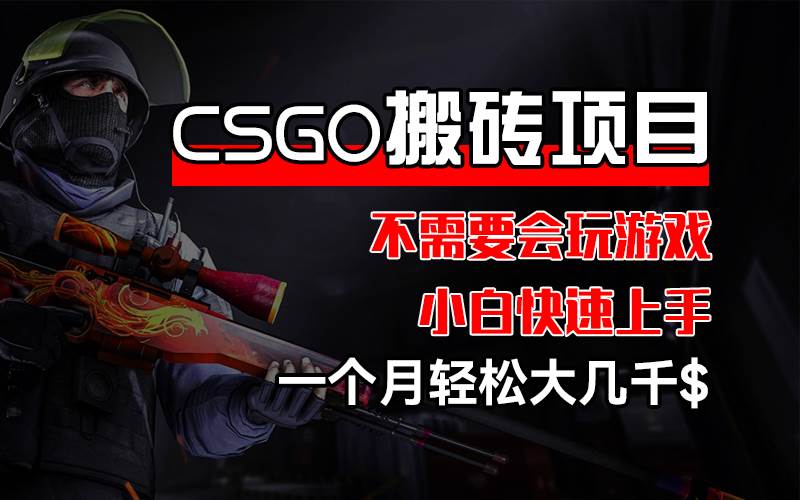 （12332期）CSGO 装备搬砖项目，操作简单，不需要会玩游戏，小白也能快速上手，一…-问小徐资源库