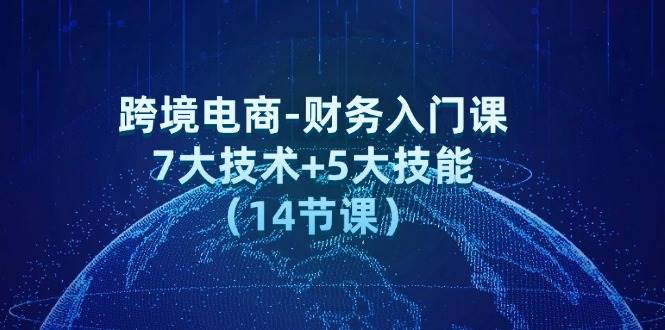 （12047期）跨境电商-财务入门课：7大技术+5大技能（14节课）-问小徐资源库