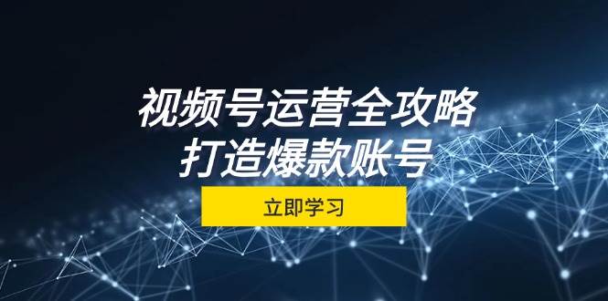 （12912期）视频号运营全攻略，从定位到成交一站式学习，视频号核心秘诀，打造爆款…-问小徐资源库