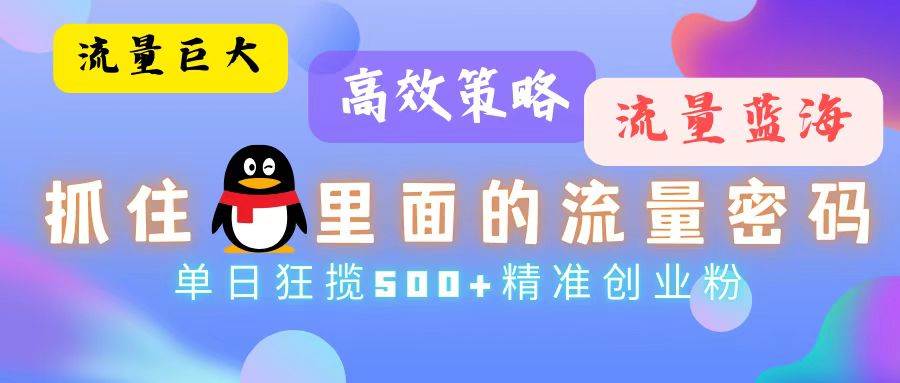 （13068期）流量蓝海，抓住QQ里面的流量密码！高效策略，单日狂揽500+精准创业粉-问小徐资源库