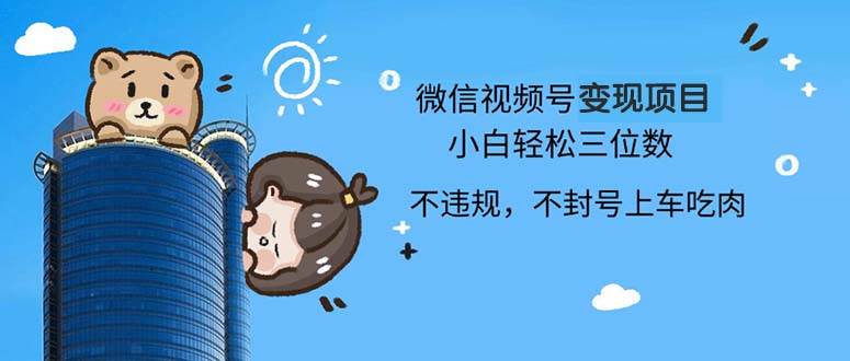 （13115期）2024最新微信视频号变现项目，小白轻松月入四位数-问小徐资源库