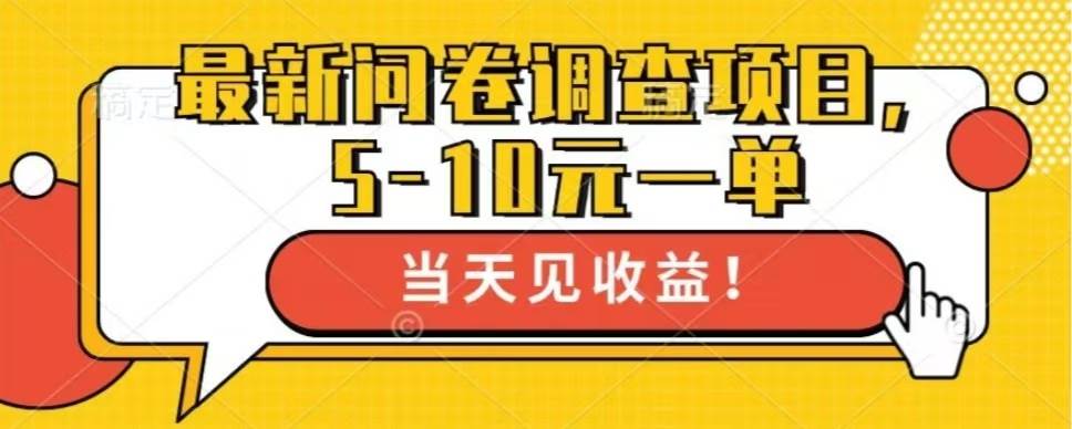 （13167期）最新问卷调查项目，单日零撸100＋-问小徐资源库