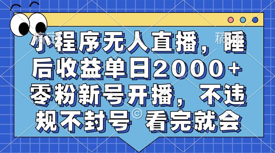（13251期）小程序无人直播，睡后收益单日2000+ 零粉新号开播，不违规不封号 看完就会-问小徐资源库