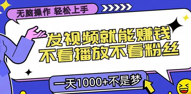 （13283期）无脑操作，只要发视频就能赚钱？不看播放不看粉丝，小白轻松上手，一天…-问小徐资源库