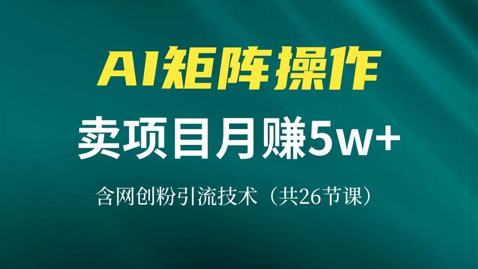（13335期）网创IP打造课，借助AI卖项目月赚5万+，含引流技术（共26节课）-问小徐资源库