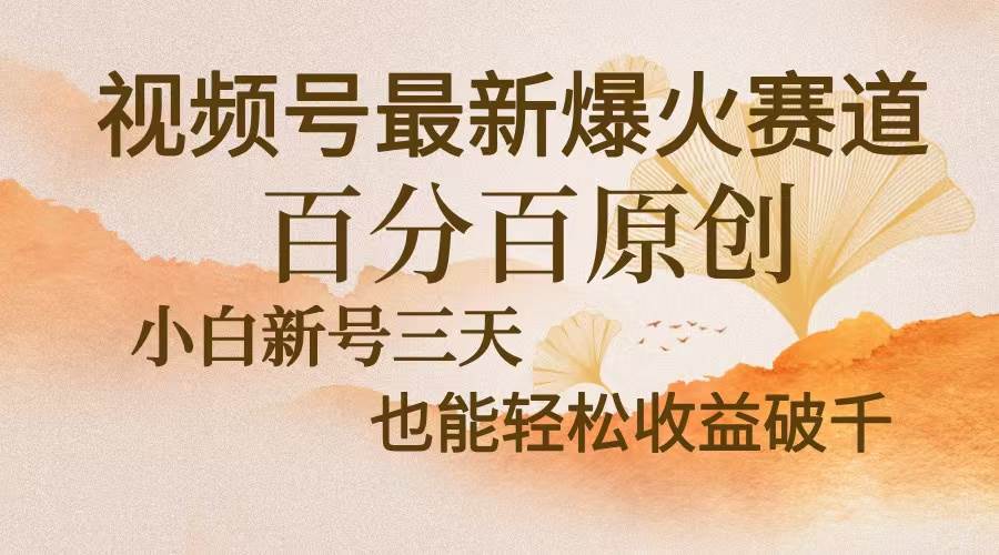 （13225期）视频号最新爆火赛道，中老年粉深信不疑，百分百原创，新号三天收益轻松…-问小徐资源库
