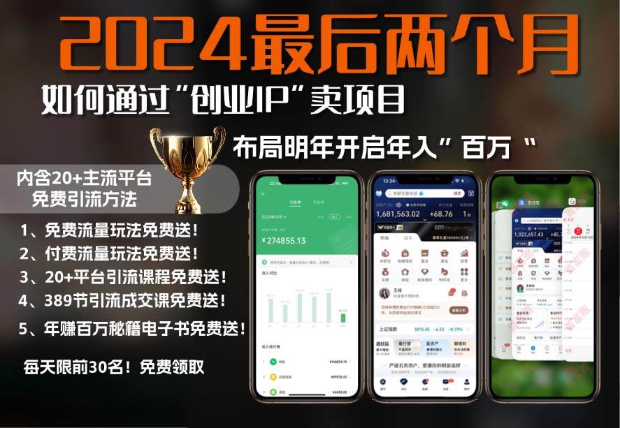 （13322期）2024最后两个月如何通过”创业IP“卖项目年入”百万“,创业IP+最强引流…-问小徐资源库