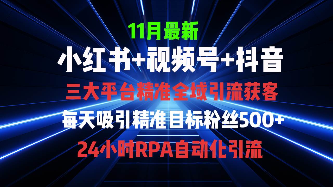 （13259期）全域多平台引流私域打法，小红书，视频号，抖音全自动获客，截流自…-问小徐资源库