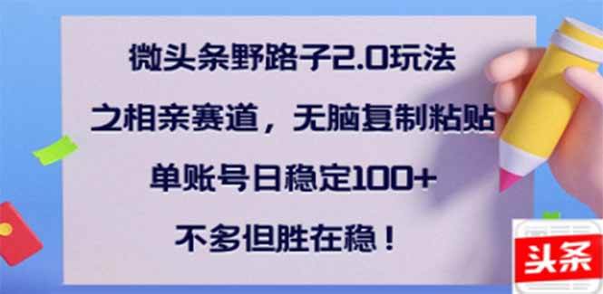 （14334期）微头条野路子2.0玩法之相亲赛道，无脑搬砖复制粘贴，单账号日稳定300+…-问小徐资源库