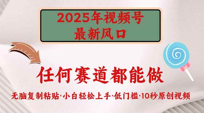 （14453期）2025年视频号新风口，低门槛只需要无脑执行-问小徐资源库