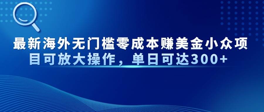 （14542期）最新海外无门槛零成本赚美金小众项目可放大操作，单日可达300+-问小徐资源库