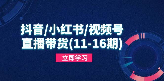 （14611期）抖音/小红书/视频号/直播带货(11-16期)，快速掌握平台规则，打造爆款内容-问小徐资源库