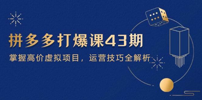 （14546期）拼多多打爆课第 43 期，掌握高价虚拟项目，运营技巧全解析（15节）-问小徐资源库