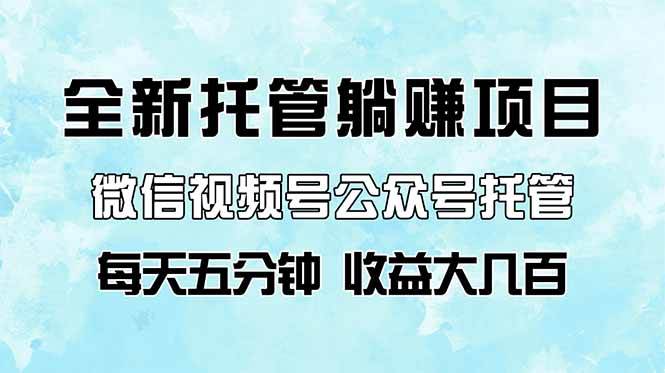 （14425期）全新托管躺赚项目，微信视频号公众号托管代运营，每天五分钟，收益大几百-问小徐资源库