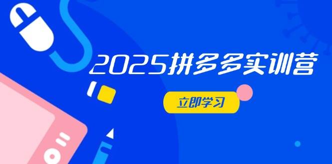 （14531期）2025拼多多实训营：深度剖析运营关键，助力电商人快速提升-问小徐资源库