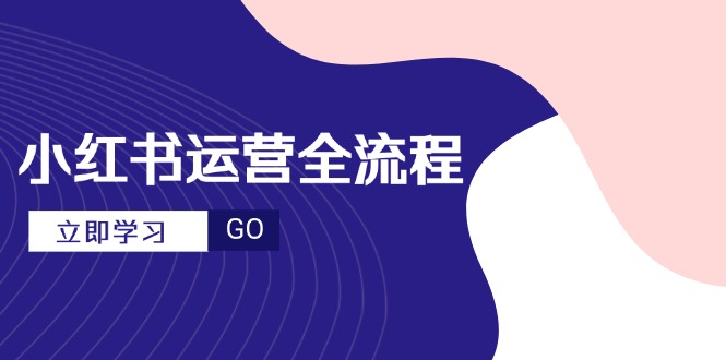 （14861期）小红书运营全流程，爆款选题文案，视频制作技巧，进阶达人宝典-问小徐资源库