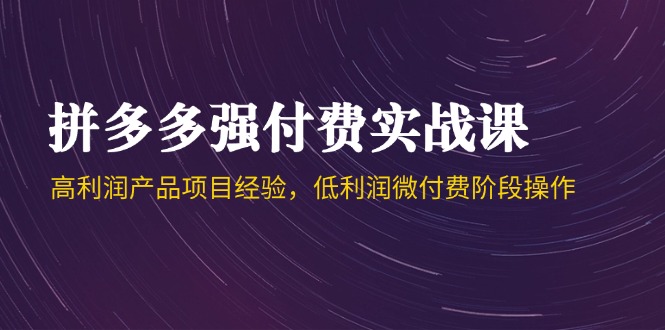 （14874期）拼多多强付费实战课-44期，高利润产品项目经验，低利润微付费阶段操作-问小徐资源库
