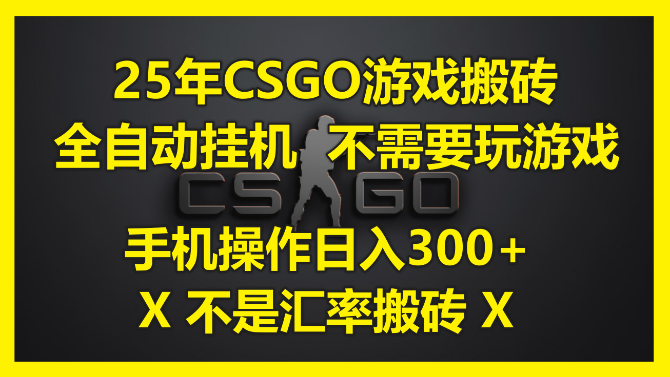 （14902期）25年CSGO游戏搬砖，全自动挂机，不需要玩游戏，手机操作日入300+。(不…-问小徐资源库