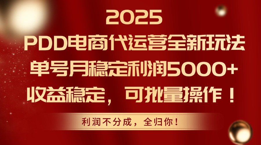 （14839期）2025PDD电商代运营全新玩法，单号月稳定利润5000+，收益稳定，可批量操作-问小徐资源库