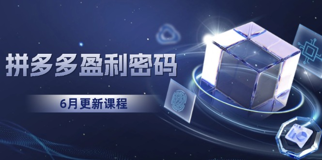 （15005期）拼多多盈利密码：从烧钱推广到印钞模型，底层逻辑重构指南（6月更新）-问小徐资源库