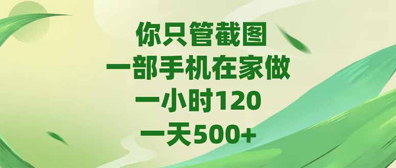 （15039期）你只管截图，一部手机在家做，一小时120，-天500+-问小徐资源库