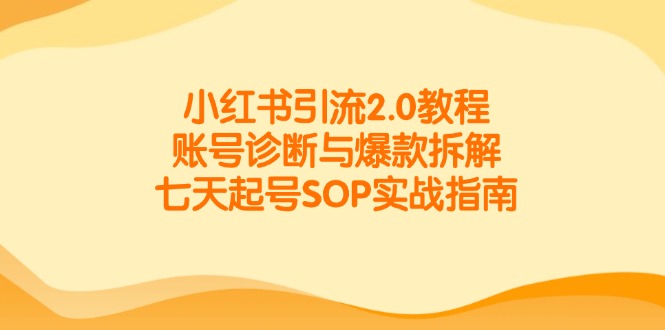 （14981期）小红书引流2.0教程，账号诊断与爆款拆解，七天起号SOP实战指南-问小徐资源库