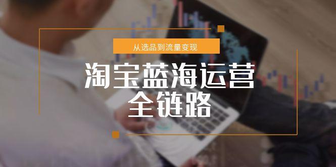 （15160期）淘宝蓝海运营全链路，从选品到流量变现，小类目突围完整方案-问小徐资源库