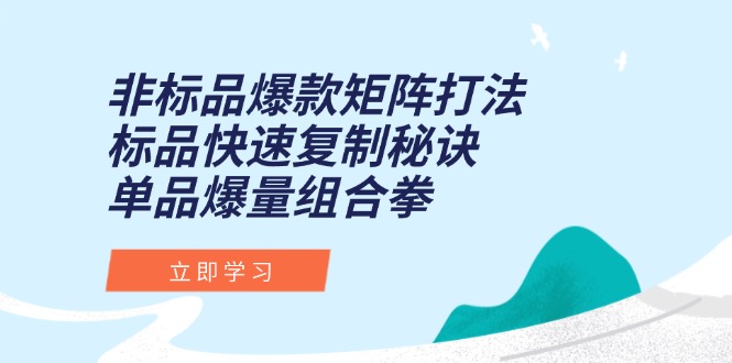（15068期）非标品爆款矩阵打法，标品快速复制秘诀，单品爆量组合拳-问小徐资源库