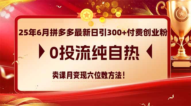 （14989期）25年6月拼多多最新日引300+付费创业粉，0投流纯自热 卖课月变现六位数方法-问小徐资源库