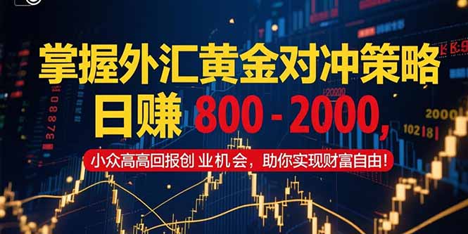 （15198期）掌握外汇黄金对冲策略，日赚 800 – 2000，小众高回报创业机会，助你实…-问小徐资源库