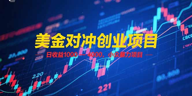 （15187期）美金对冲创业项目，日收益 1000 – 4000，小众暴力项目-问小徐资源库