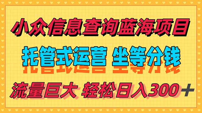 （15216期）稳定日入300＋，小众信息查询蓝海项目，全程懒人式托管，解放你的时间-问小徐资源库