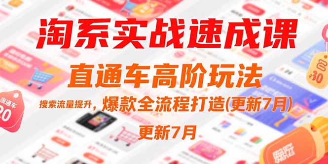 （15374期）淘系实战速成课，直通车高阶玩法，搜索流量提升，爆款全流程打造(更新7月)-问小徐资源库