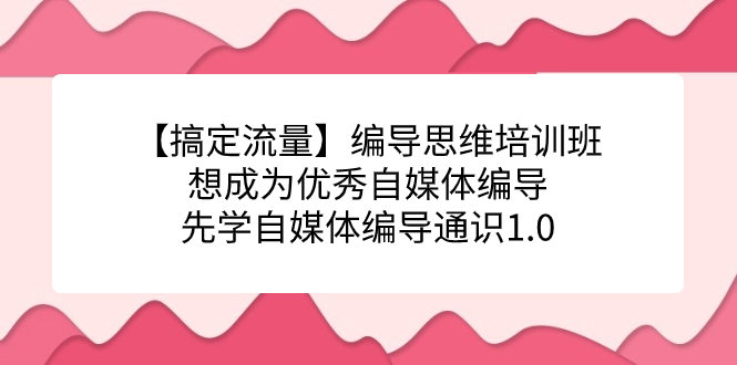 【搞定流量】编导思维培训班，想成为优秀自媒体编导先学自媒体编导通识1.0-问小徐资源库