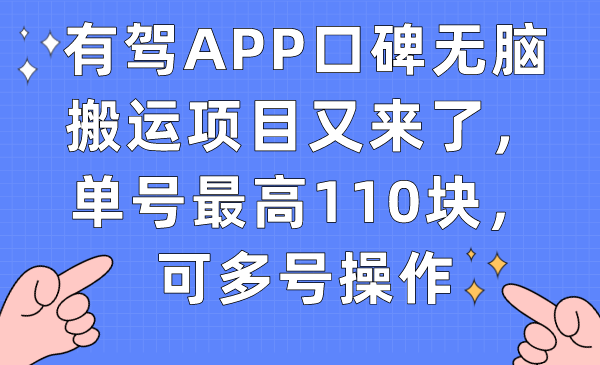 有驾APP口碑无脑搬运项目又来了，单号最高110块，可多号操作-问小徐资源库