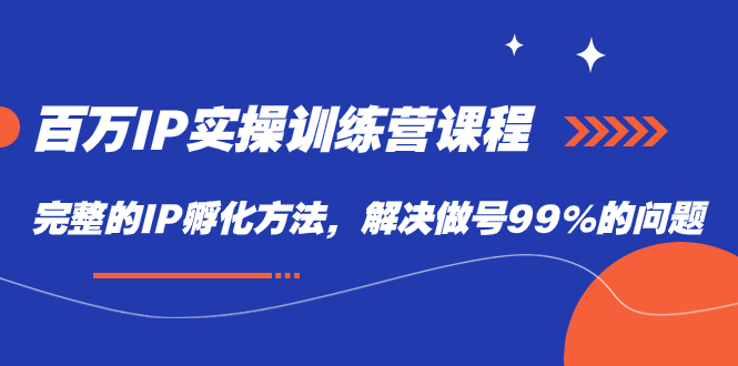 百万IP实战训练营课程，完整的IP孵化方法，解决做号99%的问题-问小徐资源库
