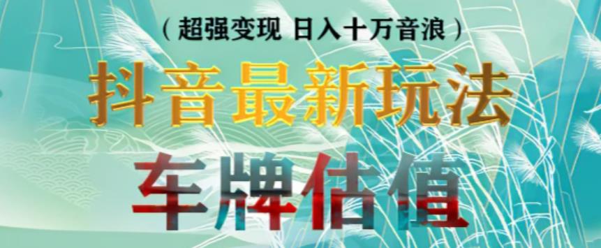 抖音最新无人直播变现直播车牌估值玩法项目，轻松日赚几百+【详细玩法教程】-问小徐资源库