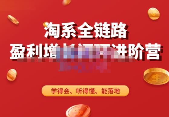 淘系全链路盈利增长闭环进阶营，融合全店动销，学得会、听得懂、能落地！-问小徐资源库